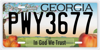 GA license plate PWY3677