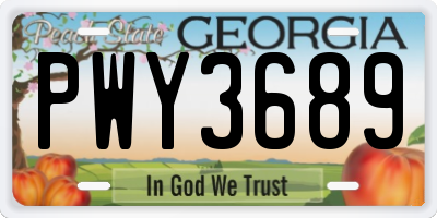 GA license plate PWY3689