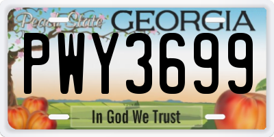 GA license plate PWY3699