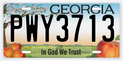 GA license plate PWY3713
