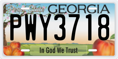 GA license plate PWY3718
