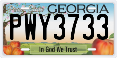 GA license plate PWY3733