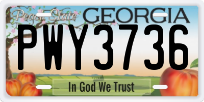 GA license plate PWY3736