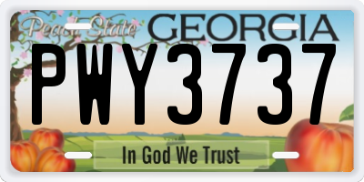 GA license plate PWY3737