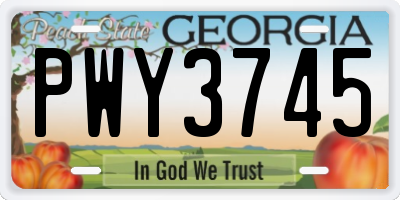 GA license plate PWY3745