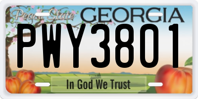 GA license plate PWY3801