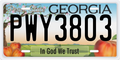 GA license plate PWY3803