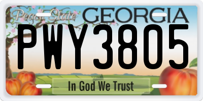 GA license plate PWY3805