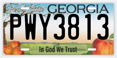 GA license plate PWY3813
