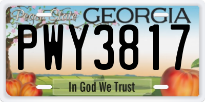 GA license plate PWY3817