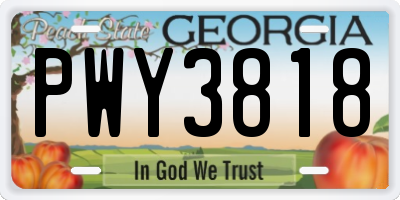 GA license plate PWY3818