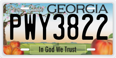 GA license plate PWY3822