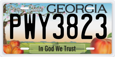 GA license plate PWY3823