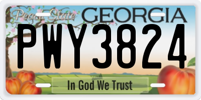 GA license plate PWY3824