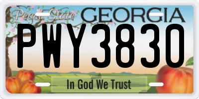 GA license plate PWY3830