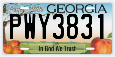 GA license plate PWY3831