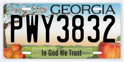 GA license plate PWY3832