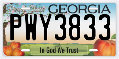 GA license plate PWY3833