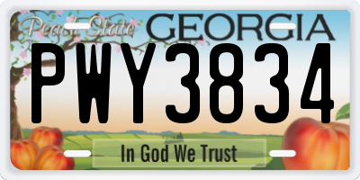 GA license plate PWY3834