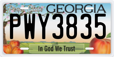 GA license plate PWY3835