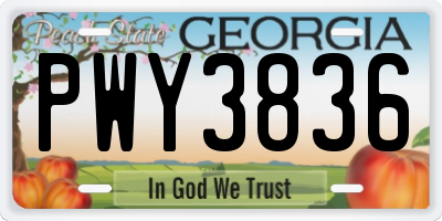 GA license plate PWY3836