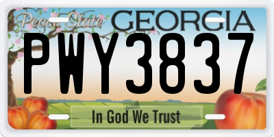 GA license plate PWY3837