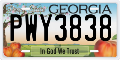GA license plate PWY3838