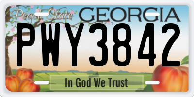 GA license plate PWY3842