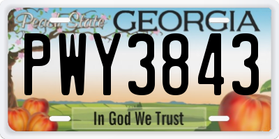 GA license plate PWY3843