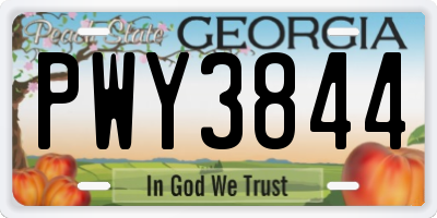 GA license plate PWY3844