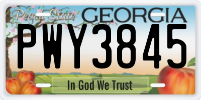 GA license plate PWY3845