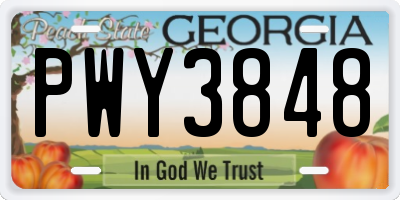 GA license plate PWY3848