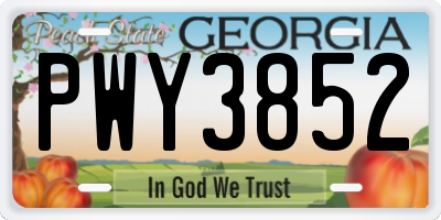 GA license plate PWY3852