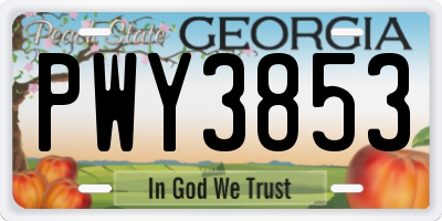GA license plate PWY3853