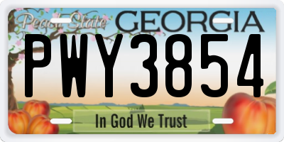GA license plate PWY3854