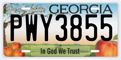 GA license plate PWY3855