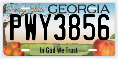 GA license plate PWY3856