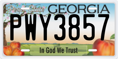 GA license plate PWY3857