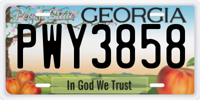 GA license plate PWY3858