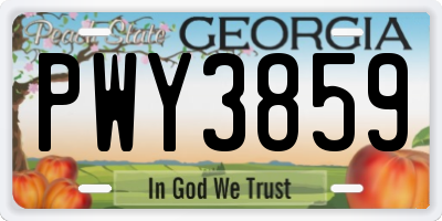 GA license plate PWY3859
