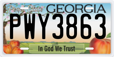 GA license plate PWY3863