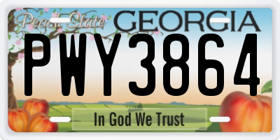 GA license plate PWY3864