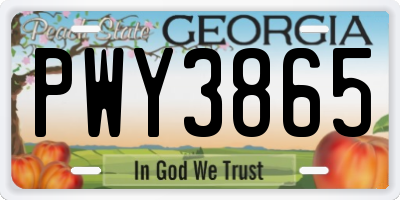 GA license plate PWY3865