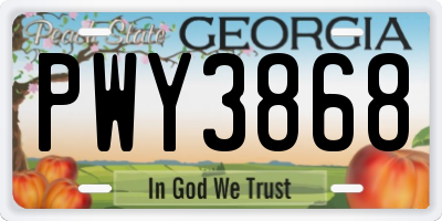 GA license plate PWY3868