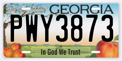 GA license plate PWY3873