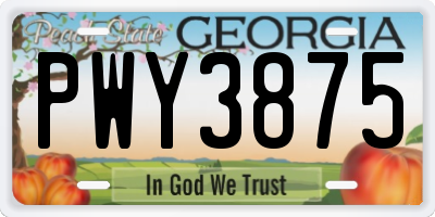 GA license plate PWY3875
