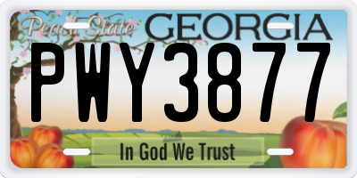 GA license plate PWY3877