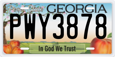 GA license plate PWY3878