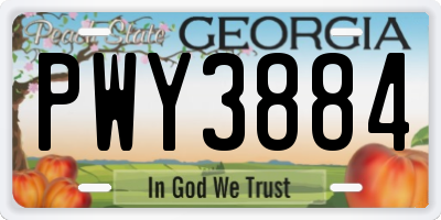 GA license plate PWY3884