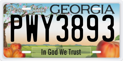 GA license plate PWY3893